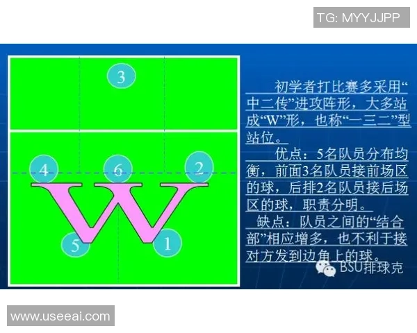成都排球队反击战术分析与比赛得失总结 成都排球队反击战术分析与比赛得失总结