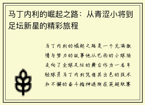 马丁内利的崛起之路：从青涩小将到足坛新星的精彩旅程